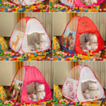 photo output